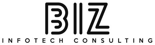 BiZ - Infotech Consulting